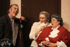 2011 - Arsen und Spitzenhäubchen